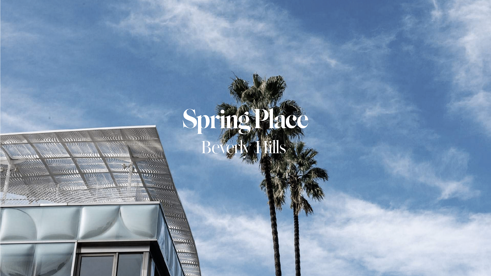 Spring Place Slide 19